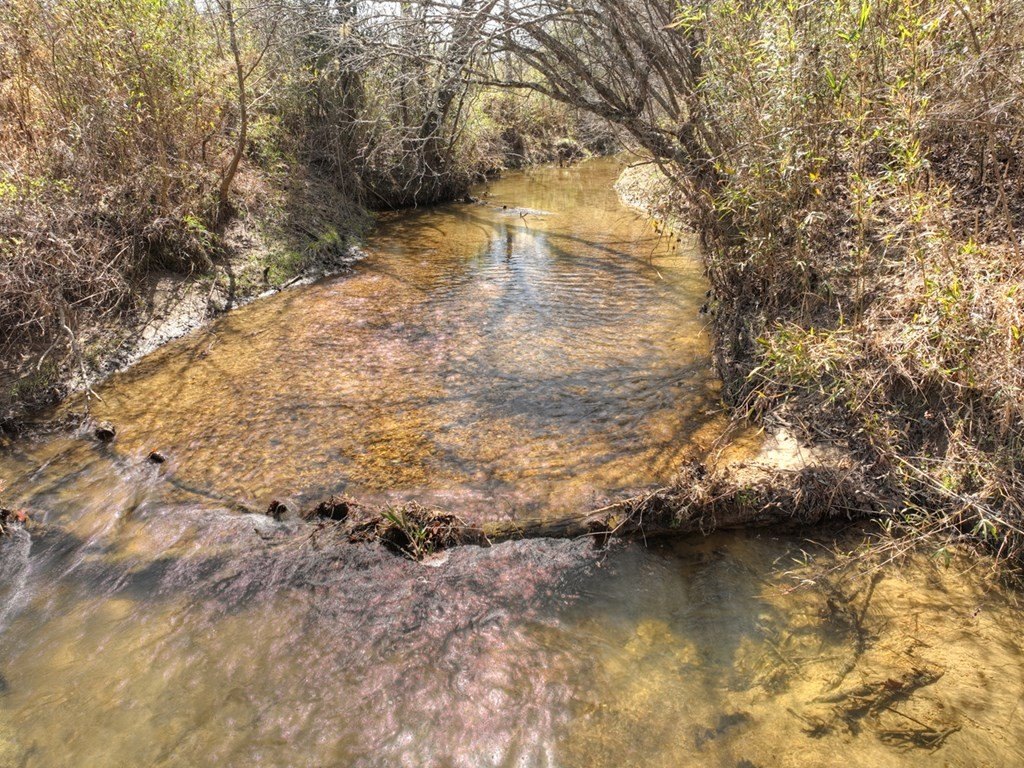 Picture 45
