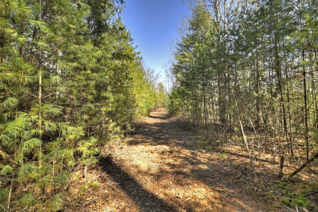 Picture 39