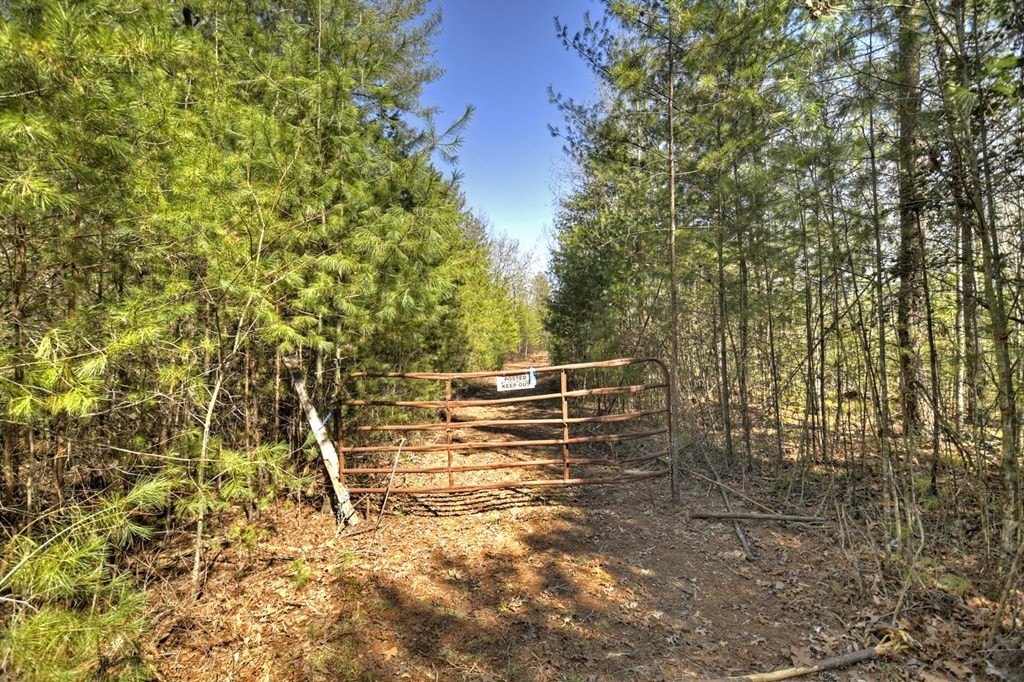 Picture 37