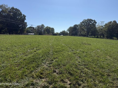Cleared Land on State Highway