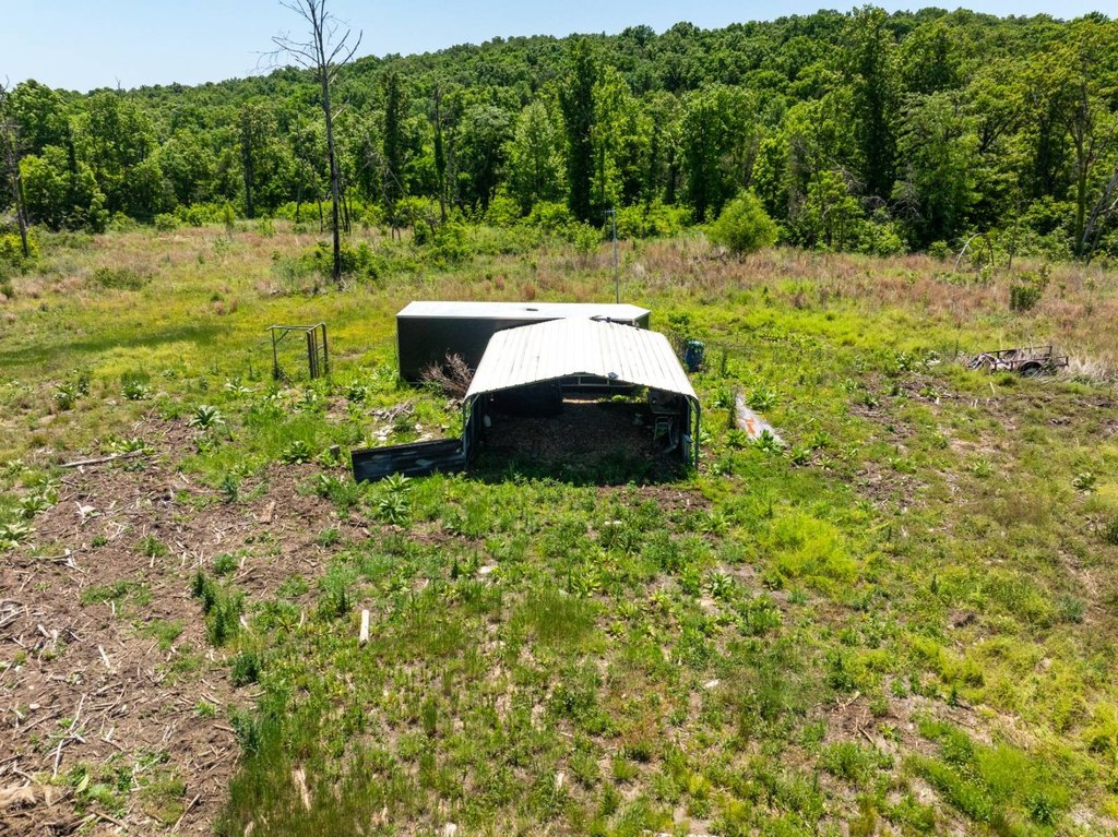 Picture 3