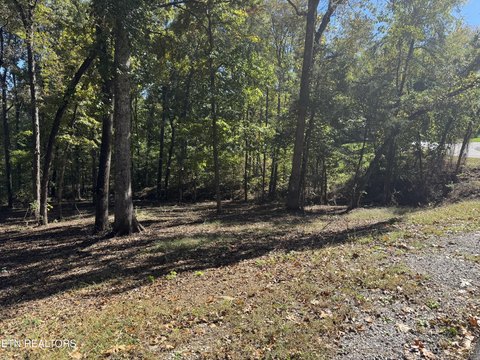 Lots & Acreage, Loudon, TN