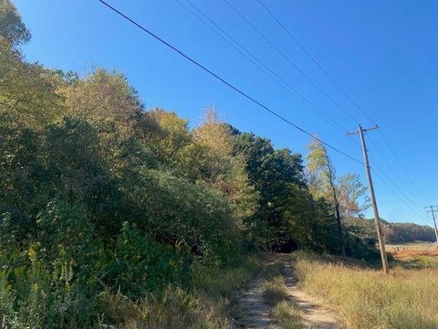 Vacant Land in Conway, AR