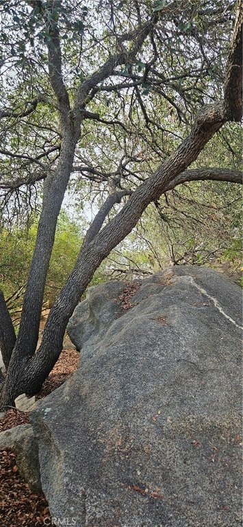 Picture 38