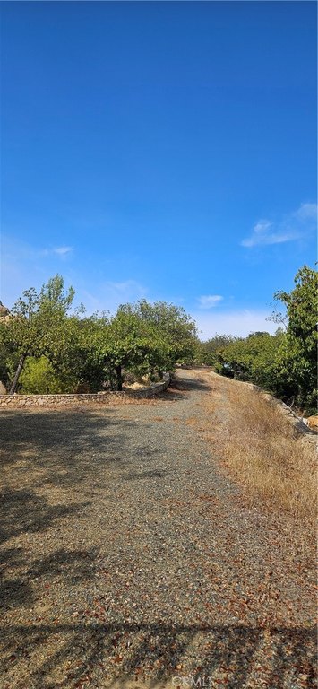 Picture 29