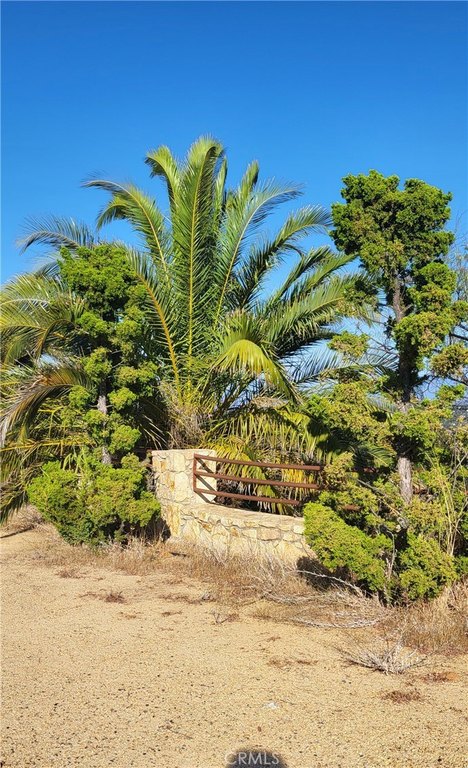 Picture 10