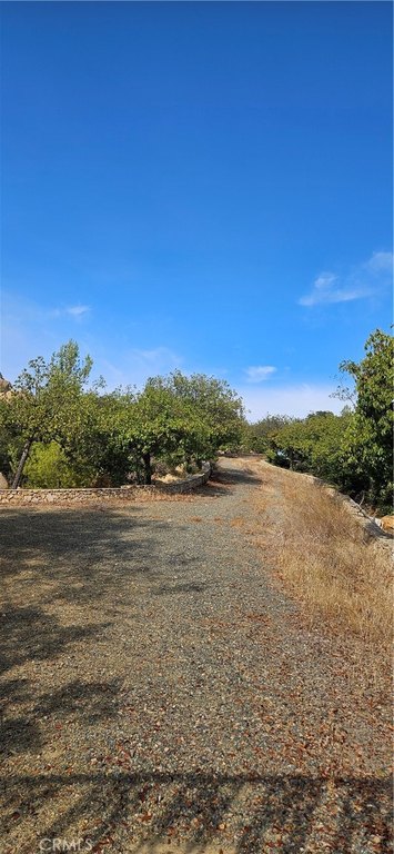 Picture 36