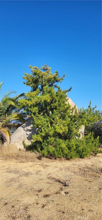 Picture 9