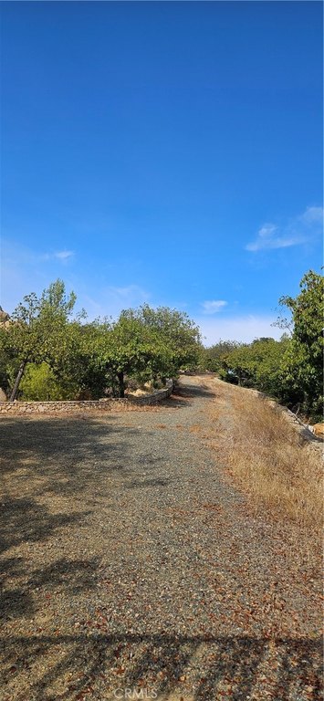 Picture 33