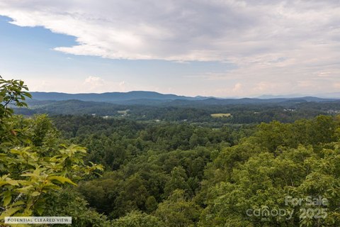 LAND - Hendersonville, NC