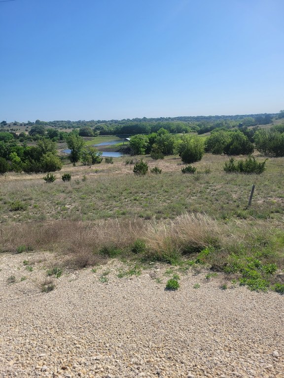Picture 7