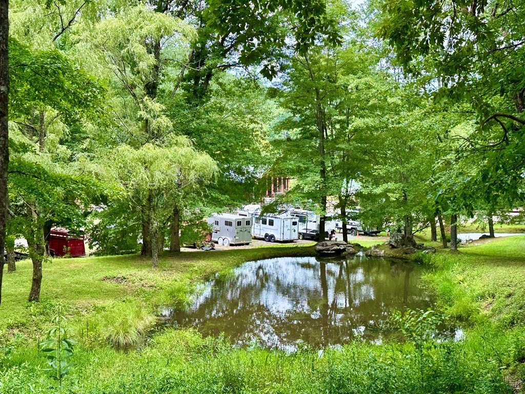 Picture 24