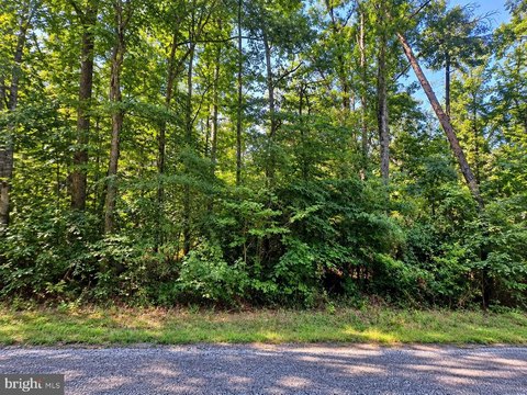 Land, NANJEMOY, MD