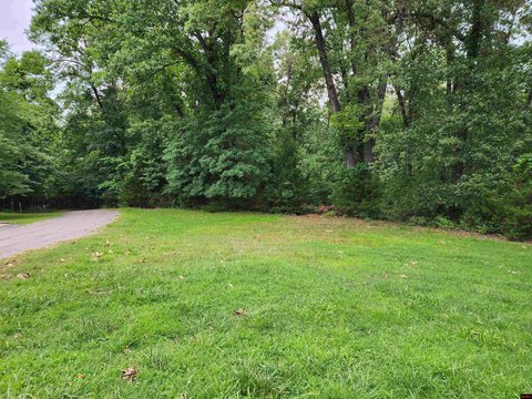 Lake View Lot in Flippin