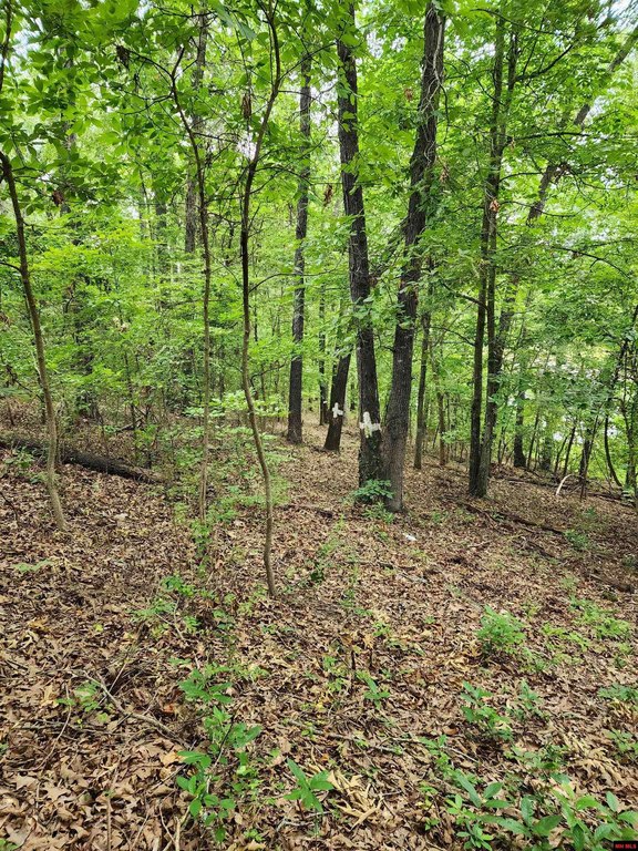 Picture 6