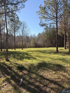 Residential Land in Piedmont, AL