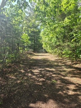 Recreational Land with Road Frontage
