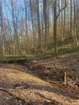 Land, Franklin, NC