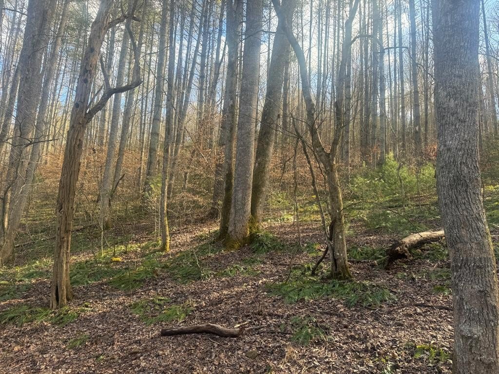 Picture 4
