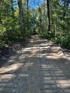 Wooded Hunting Land