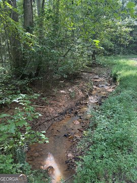 Wooded Creekfront Recreation Land