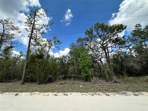 Residential Land in Williston, FL