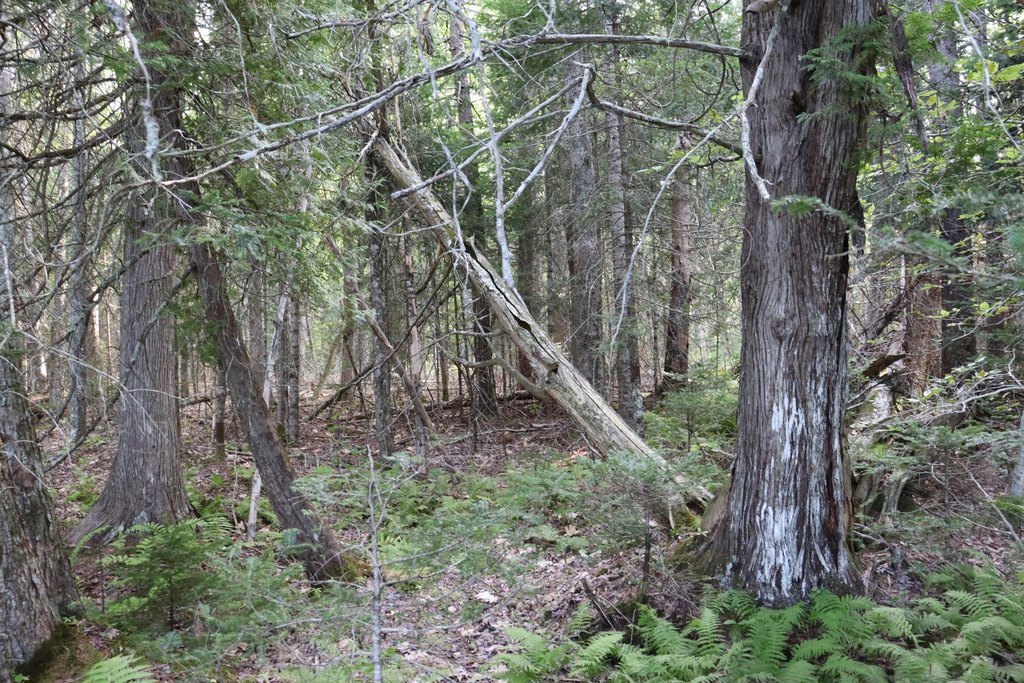 Picture 13