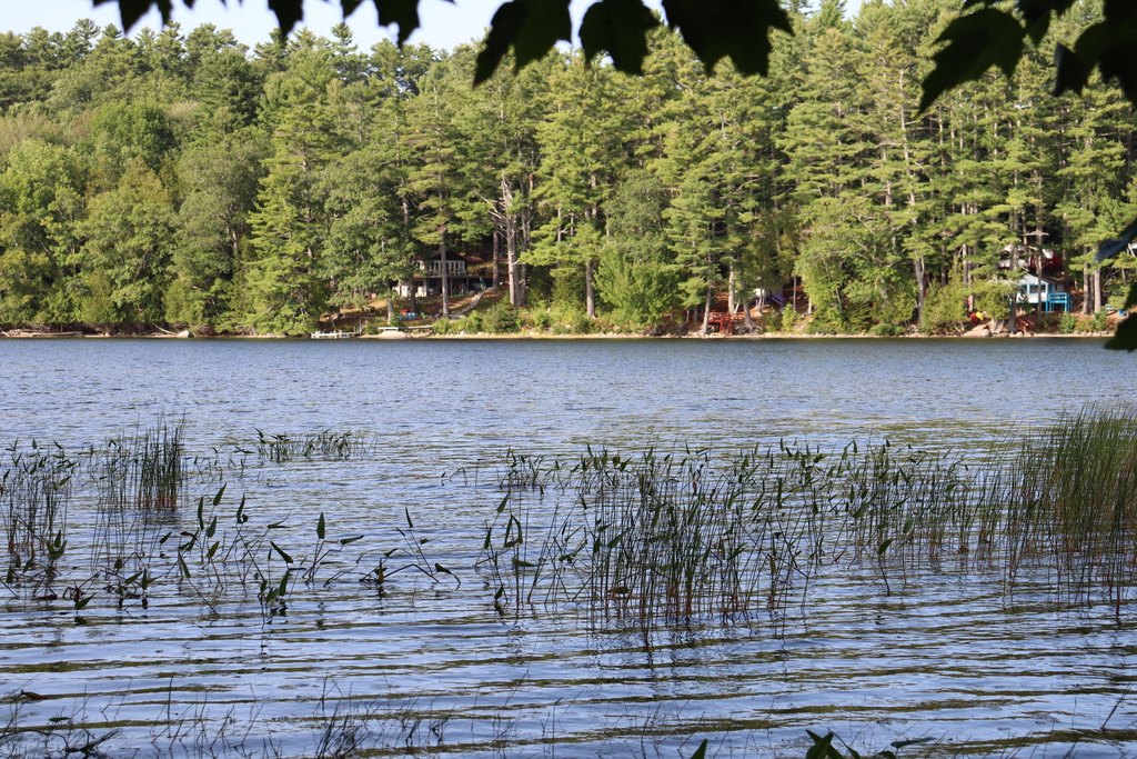 Picture 6