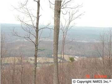 Fort Payne Land with Views