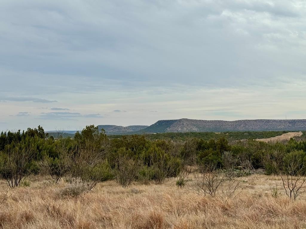 Robert Lee Land For Sale
