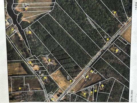 Wooded Land Near Chesapeake Bay