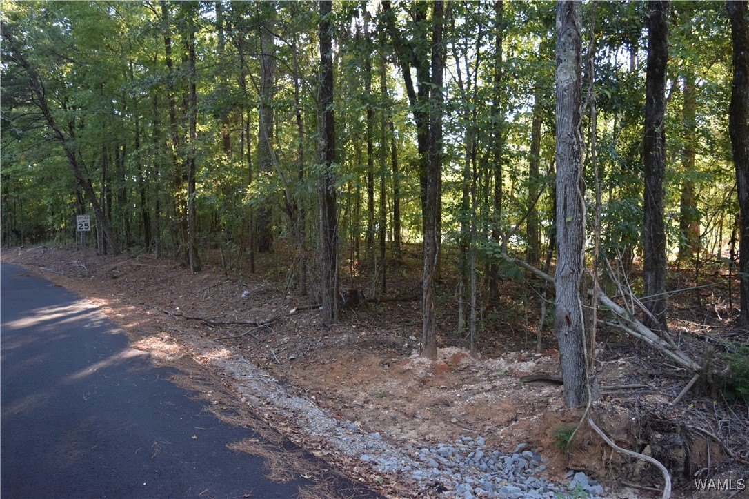 Residential Land in McCalla, AL