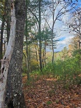 Mountain Land in Gated Community