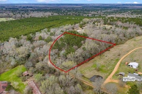 4 Acres in Shelby County