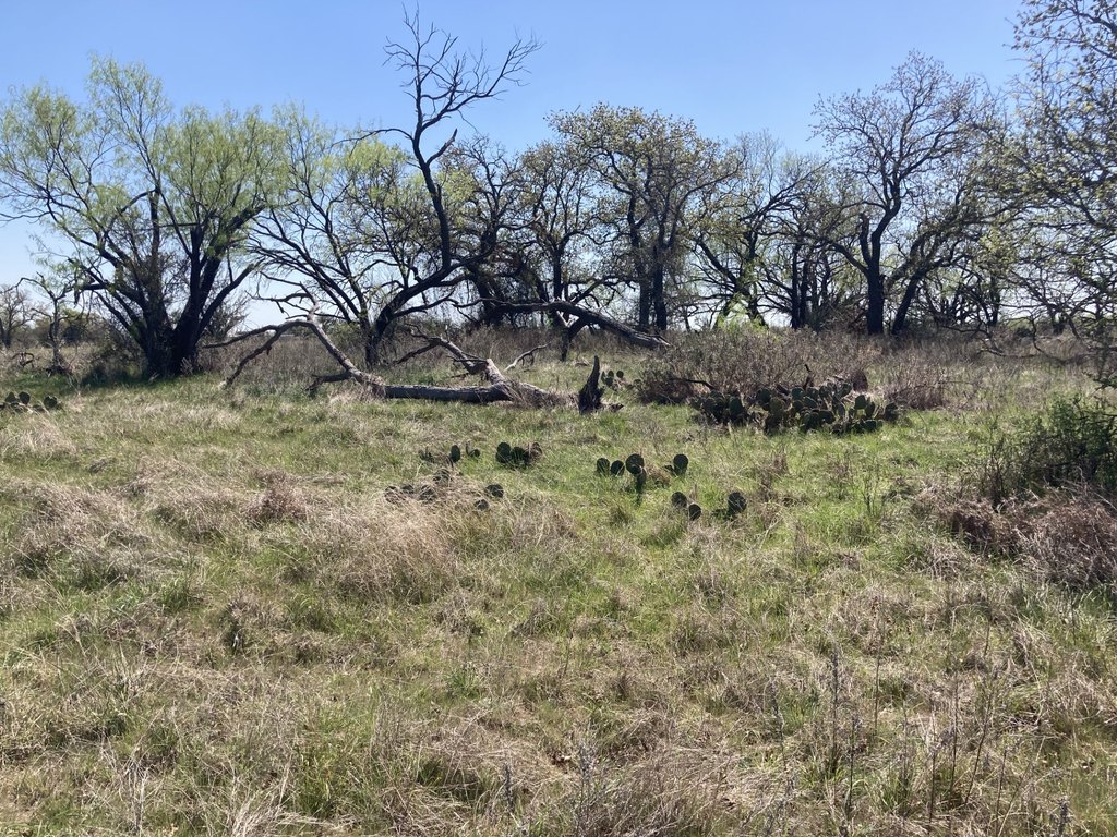 Picture 25