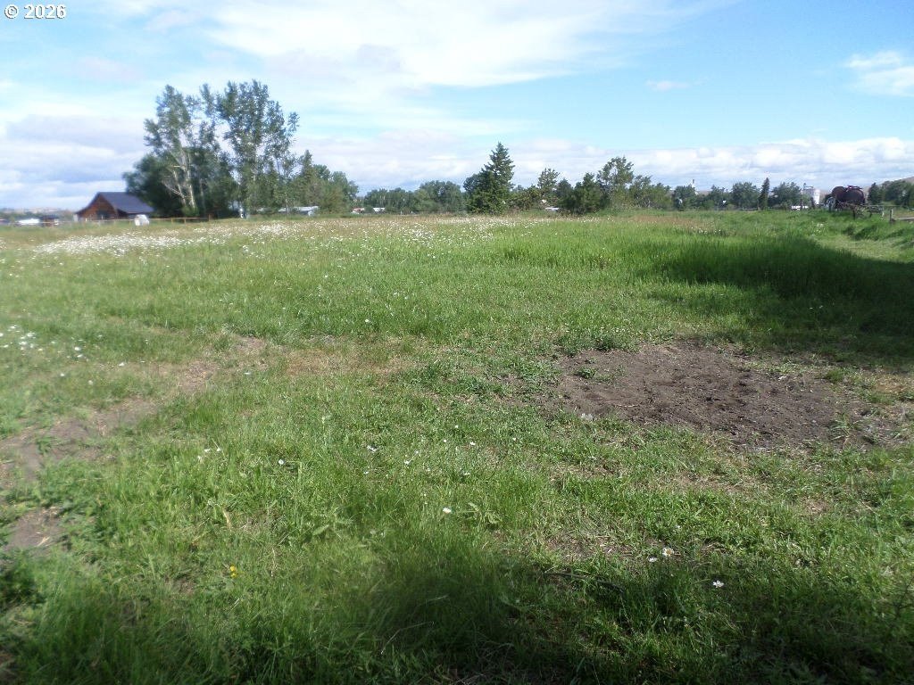 Picture 4