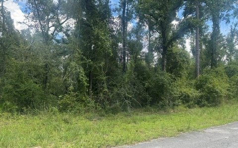 Vacant Land, Dowling Park, FL