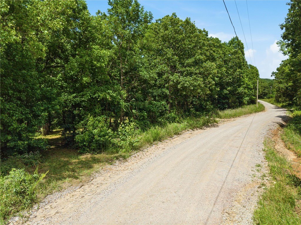 Picture 20