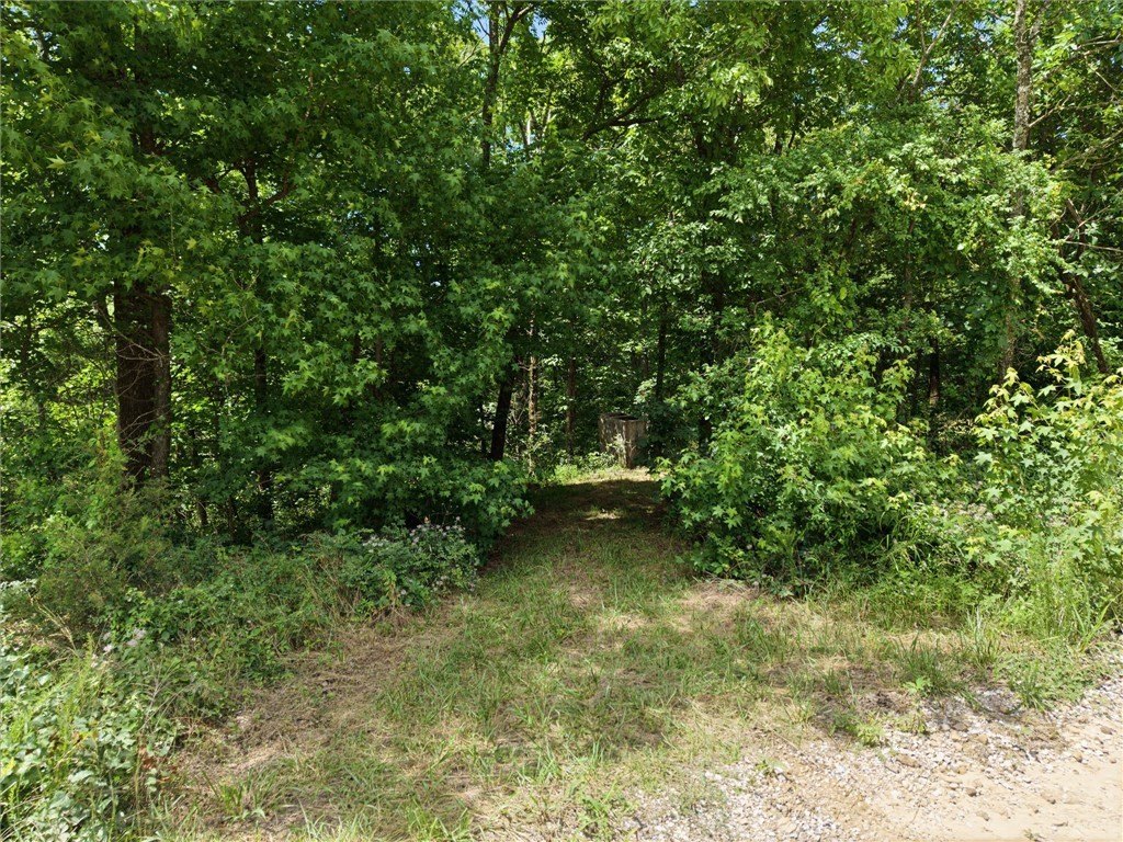 Picture 19