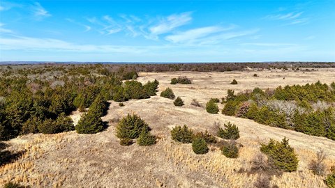 Agricultural Land Tract with Woods