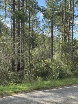 Lots/Land, Poplarville, MS