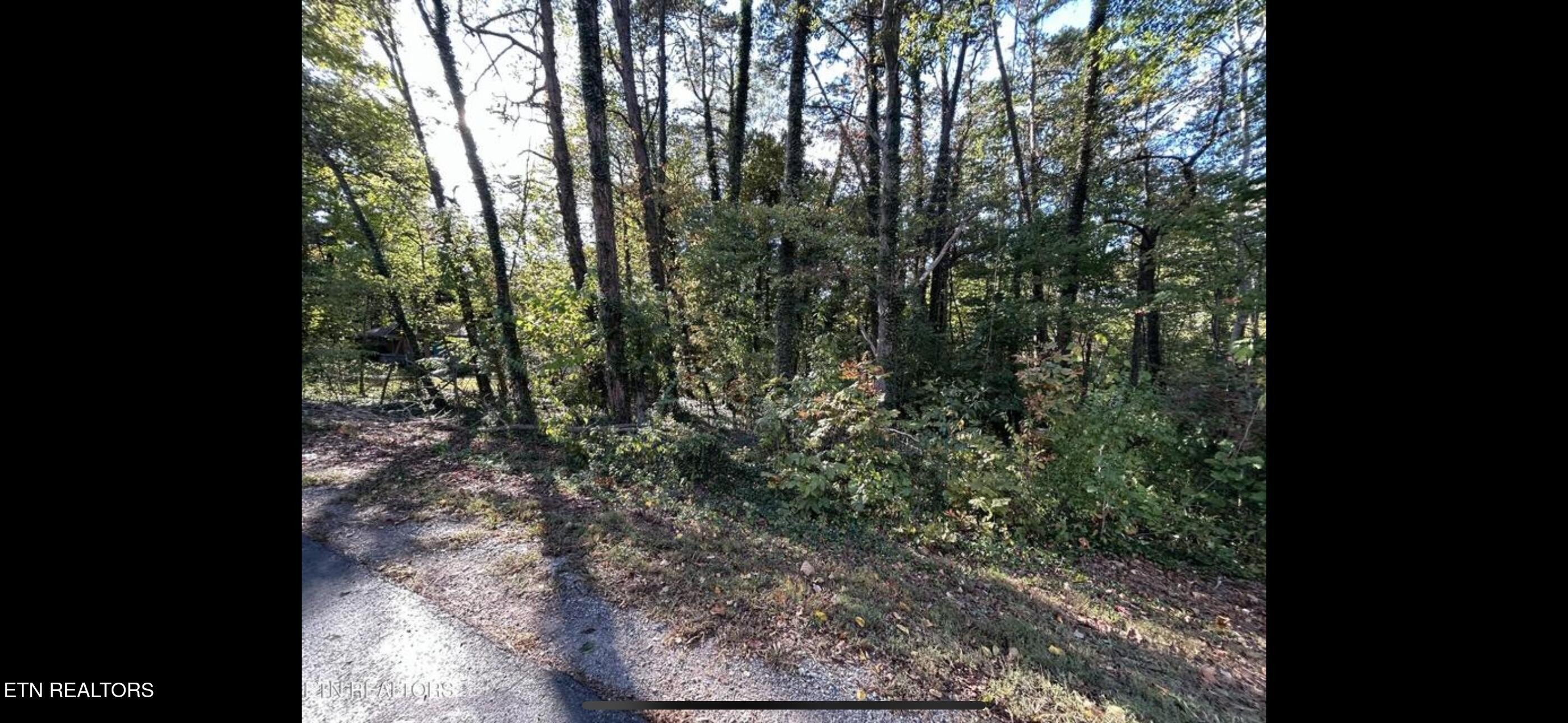Residential Lot in Loudon, TN