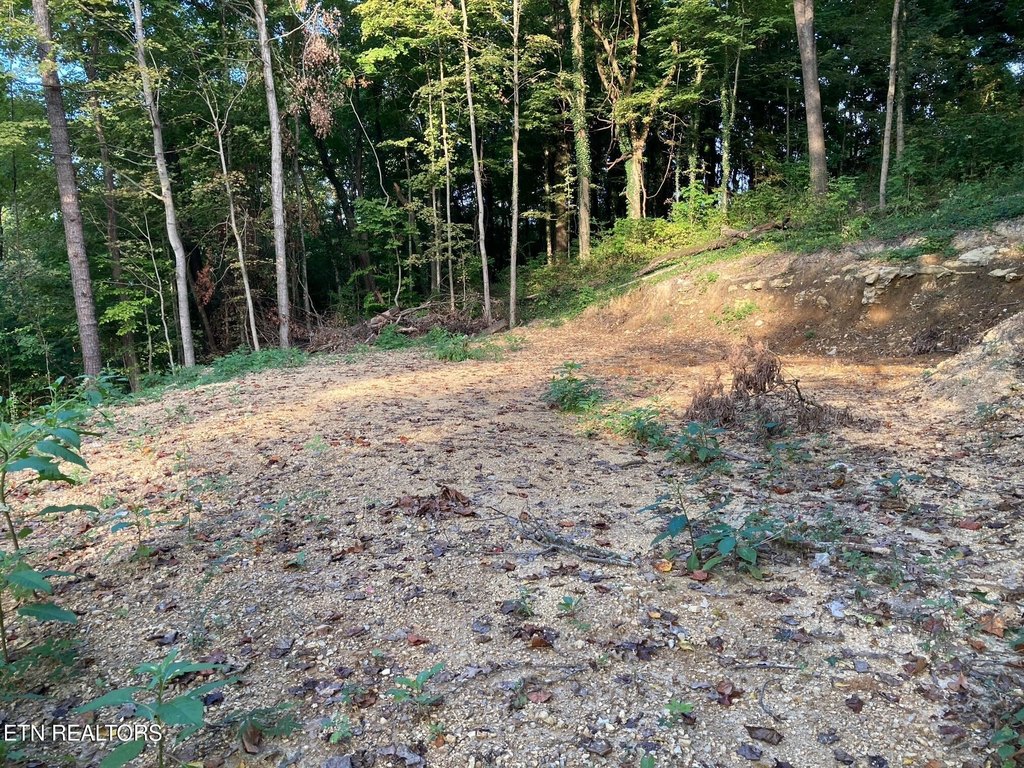 Picture 3