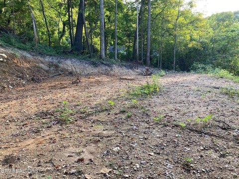 Lots & Acreage, LaFollette, TN