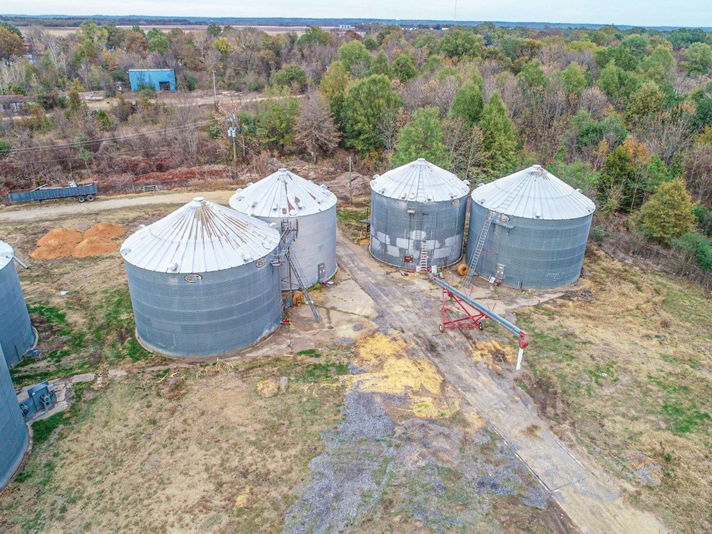 Picture 16