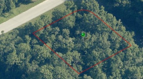 LAND - Dunnellon, FL