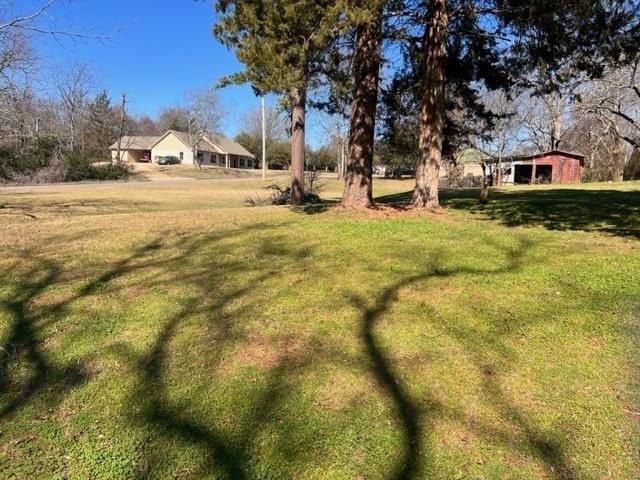 Picture 5