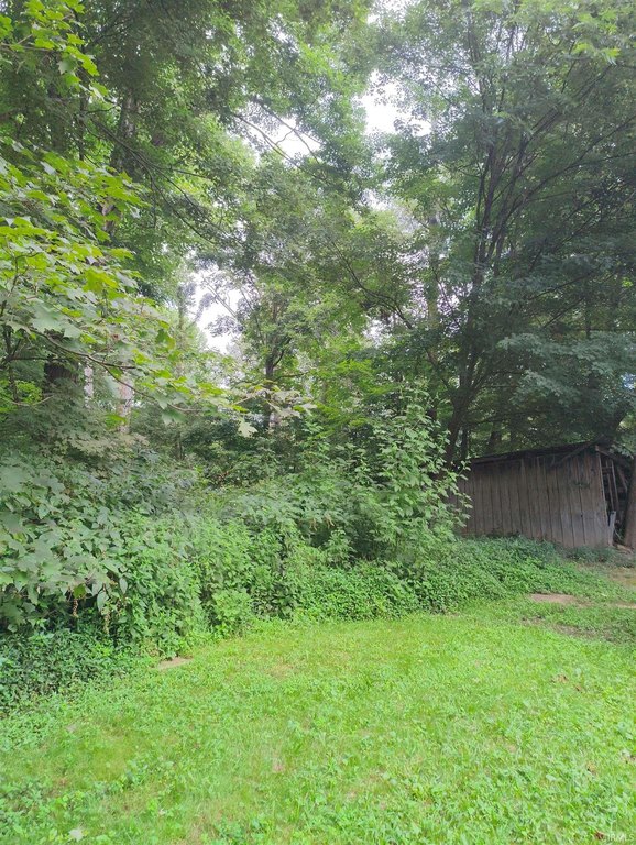 Picture 7