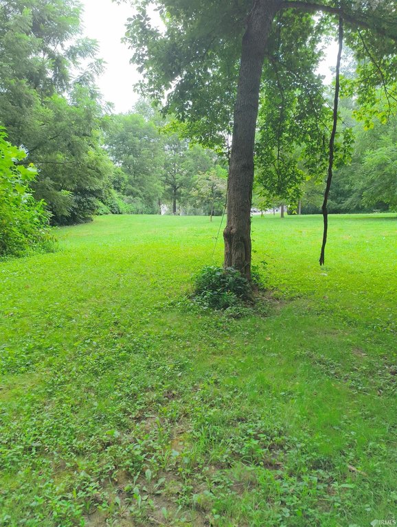 Picture 4
