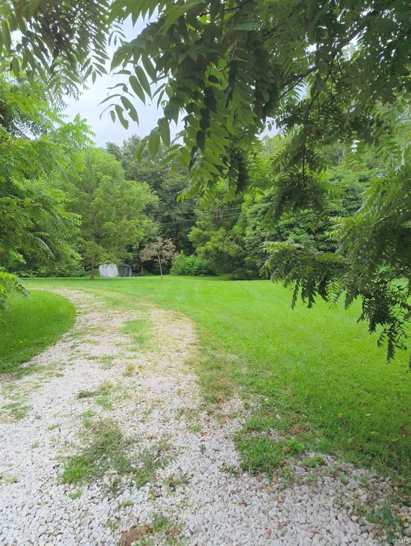 Picture 5